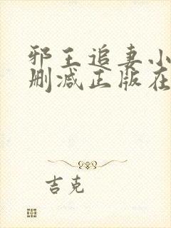 邪王追妻小说无删减正版在线阅读