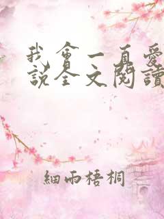 我会一直爱你小说全文阅读免费