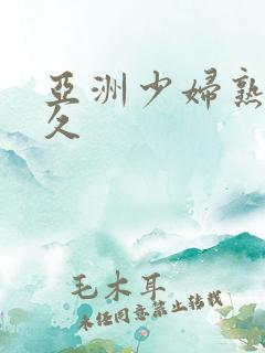 亚洲少妇熟女久久