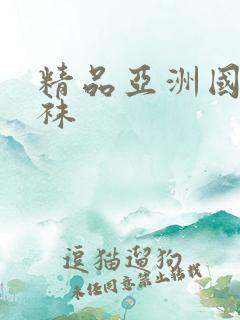 精品亚洲国产丝袜