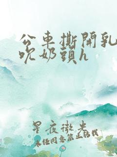 公车撕开乳罩揉吮奶头h