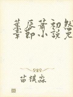 叶辰萧初然最新章节小说免费阅读