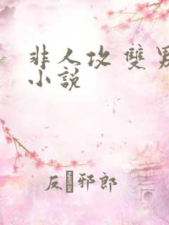 非人攻 双男主小说