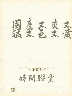 国产又爽又粗又猛又色又黄的视频