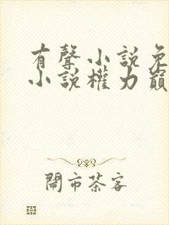 有声小说免费听小说权力巅峰