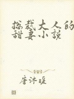 总裁大人的影后甜妻小说