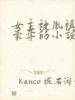 女主被胤禛强取豪夺的小说