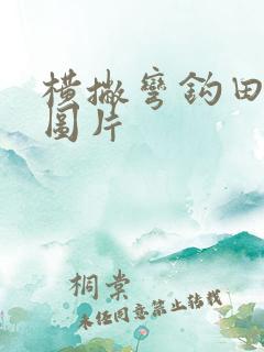 横撇弯钩田字格图片