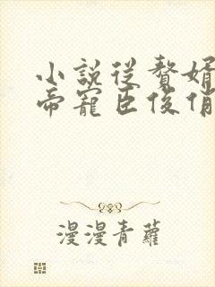 小说从赘婿到女帝宠臣俊俏少年全文