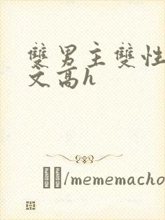 双男主双性生子文高h