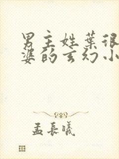 男主姓叶很多老婆的玄幻小说