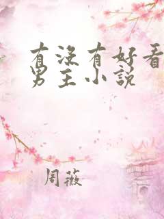 有没有好看的双男主小说