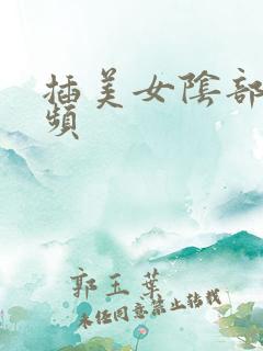 插美女阴部的视频