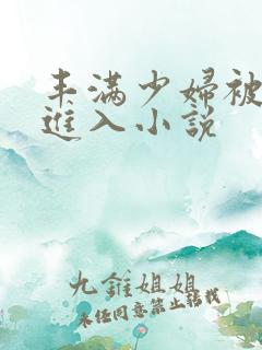 丰满少妇被猛烈进入小说