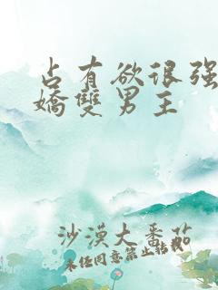 占有欲很强的病娇双男主