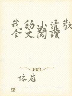我的小清欢在线全文阅读