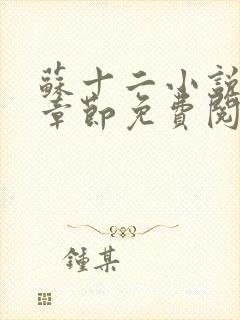 苏十二小说最新章节免费阅读全文