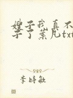 嫂子我真不是傻子了叶凡txt免费完整版