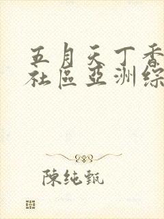 五月天丁香婷婷社区亚洲综合