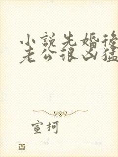 小说先婚后爱:老公很凶猛免费阅读