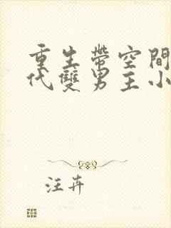 重生带空间的现代双男主小说