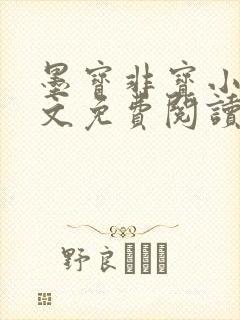 墨宝非宝小说全文免费阅读