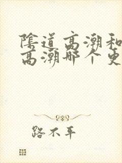 阴道高潮和阴蒂高潮哪个更爽