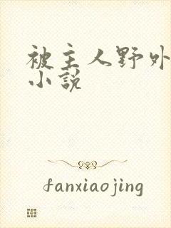 被主人野外调教小说