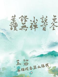 叶锋小说免费阅读无弹窗全文