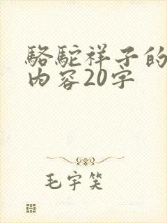 骆驼祥子的主要内容20字