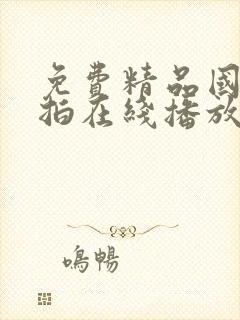 免费精品国自产拍在线播放