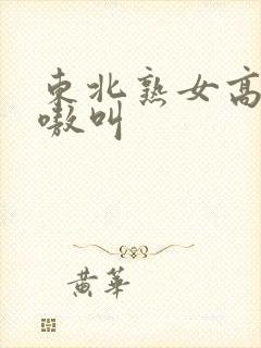 东北熟女高潮嗷嗷叫