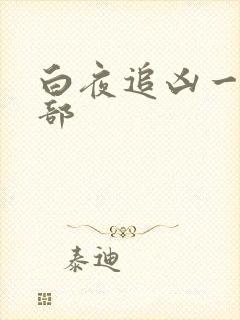 白夜追凶一共几部