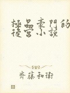 极品豪门的极品后宫小说