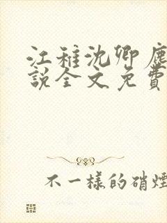 江稚沈卿尘的小说全文免费阅读最新贺