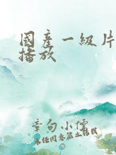 国产一级片精品播放