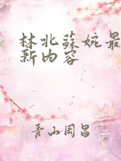 林北苏婉最新更新内容