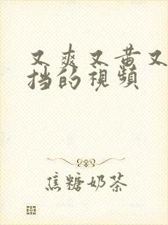 又爽又黄又无遮挡的视频