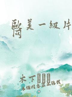 欧美一级片视频网