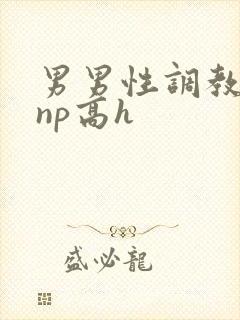 男男性调教小说np高h