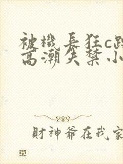 被机长狂c躁到高潮失禁小说