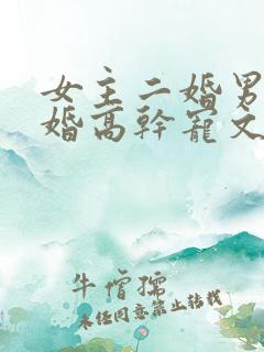 女主二婚男主头婚高干宠文小说