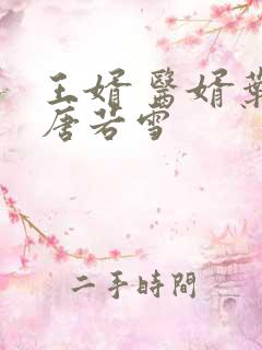 王婿 医婿叶凡唐若雪