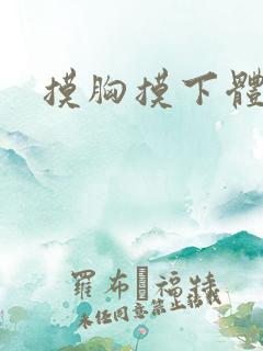 摸胸摸下体小说