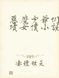 恶魔少爷们的还债女仆小说