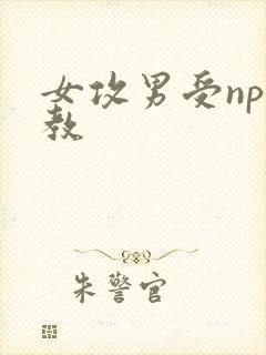 女攻男受np调教