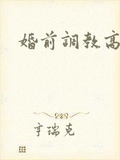 婚前调教高h