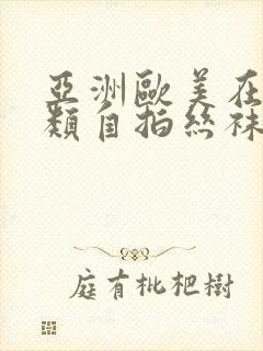 亚洲欧美在线另类自拍丝袜