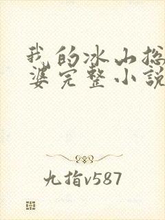 我的冰山总裁老婆完整小说