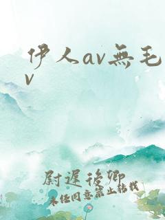 伊人av无毛av